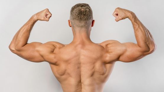 Vitaminas para la Musculación
